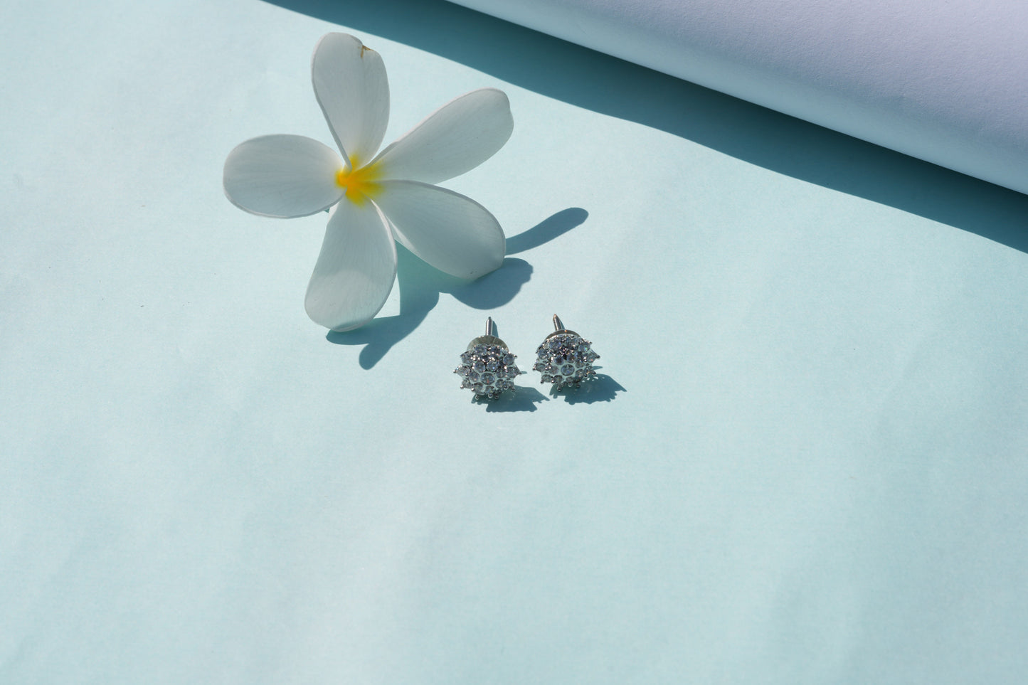 Viora Classic 925 Sterling Silver Earrings